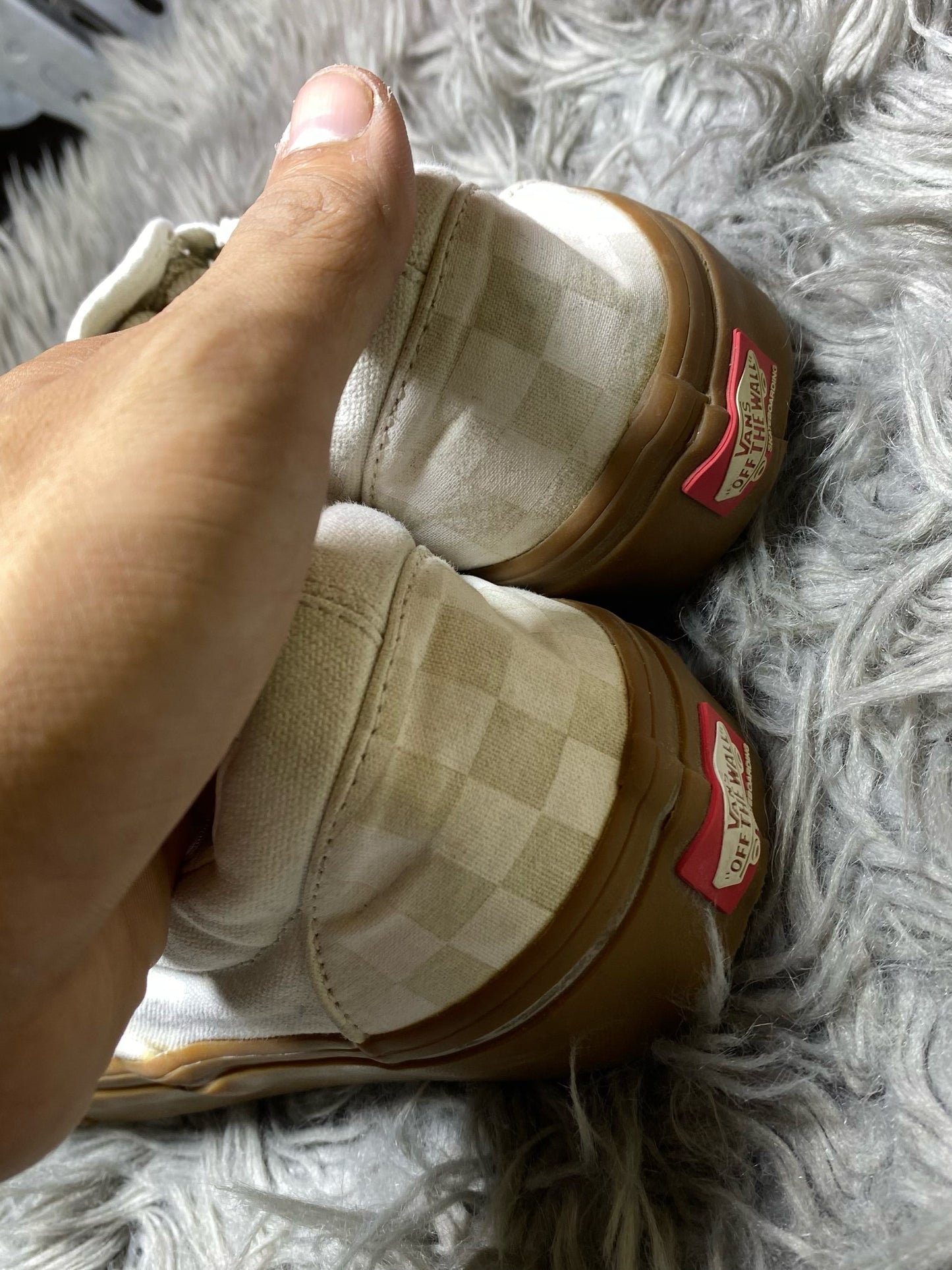 Vans Low Top (42.5)