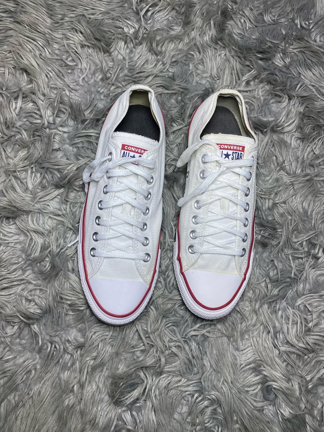 Converse Low Top (42.5)