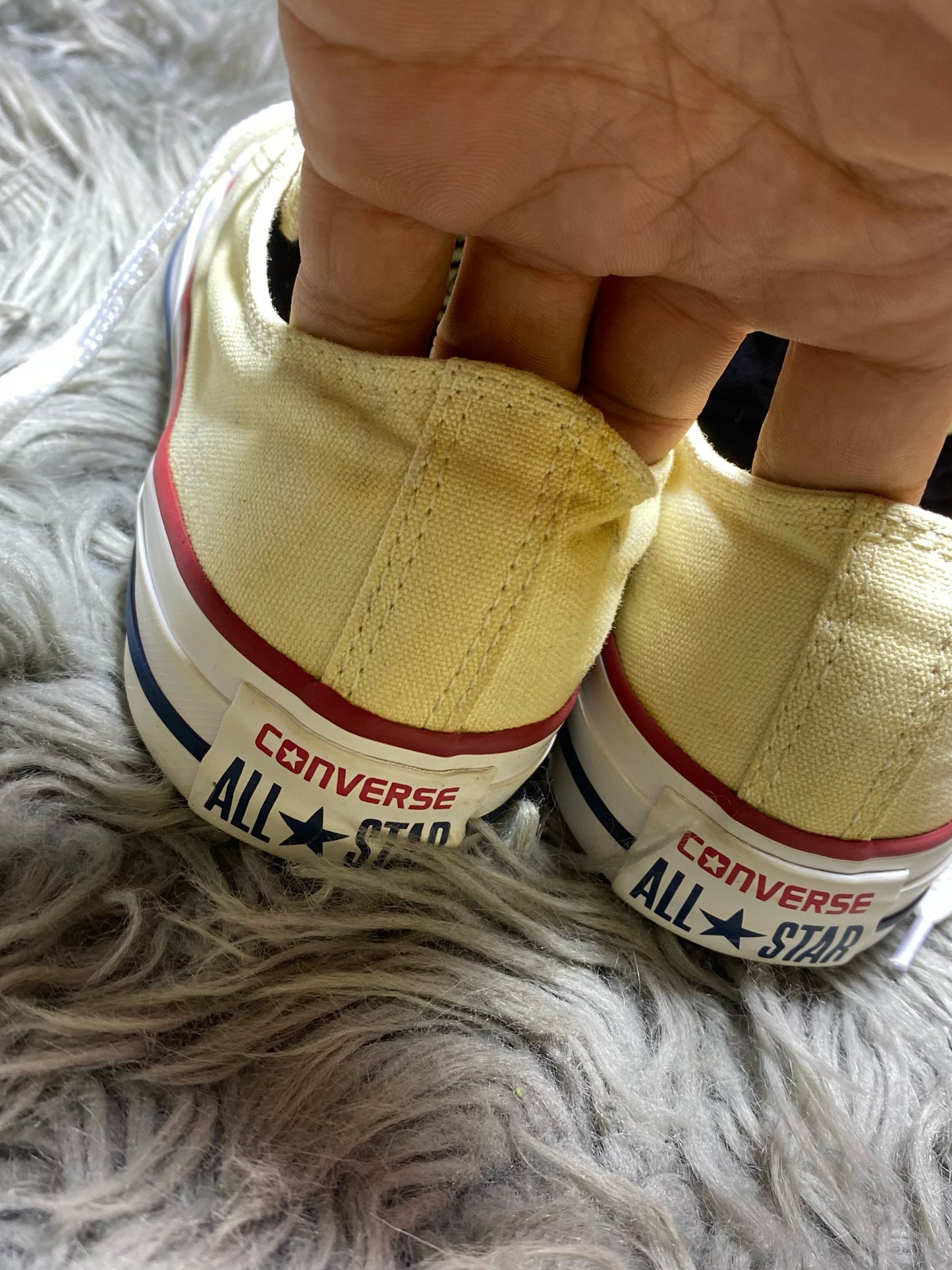 Converse Low Top (37.5)