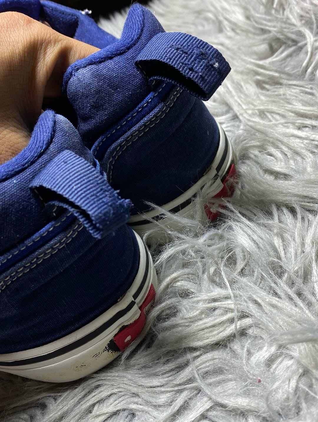 Vans Low Top (47)