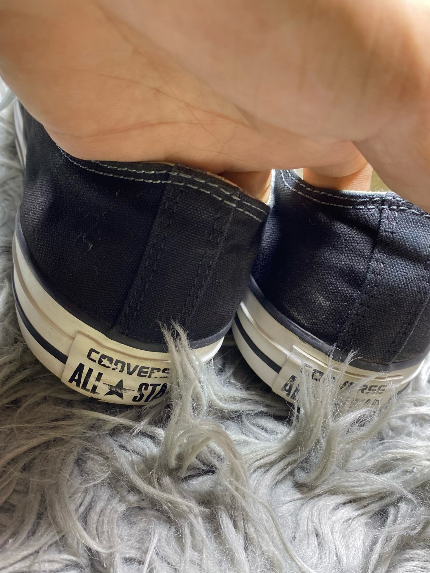 Converse Low Top (42.5)