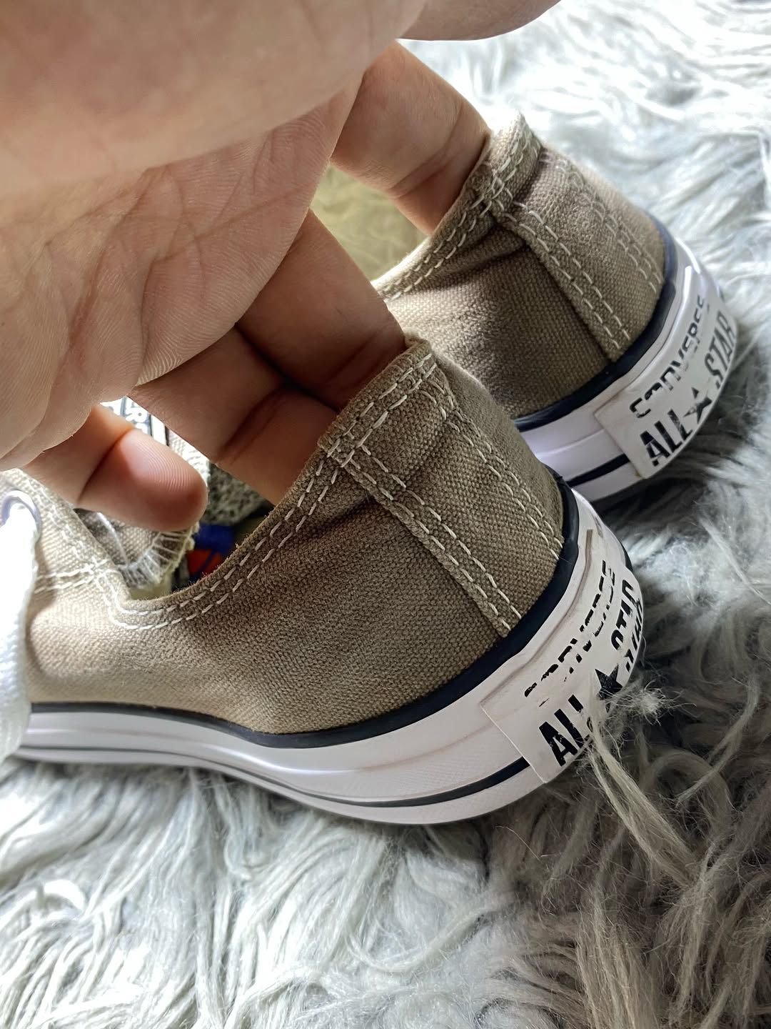 Converse Low Top (37)