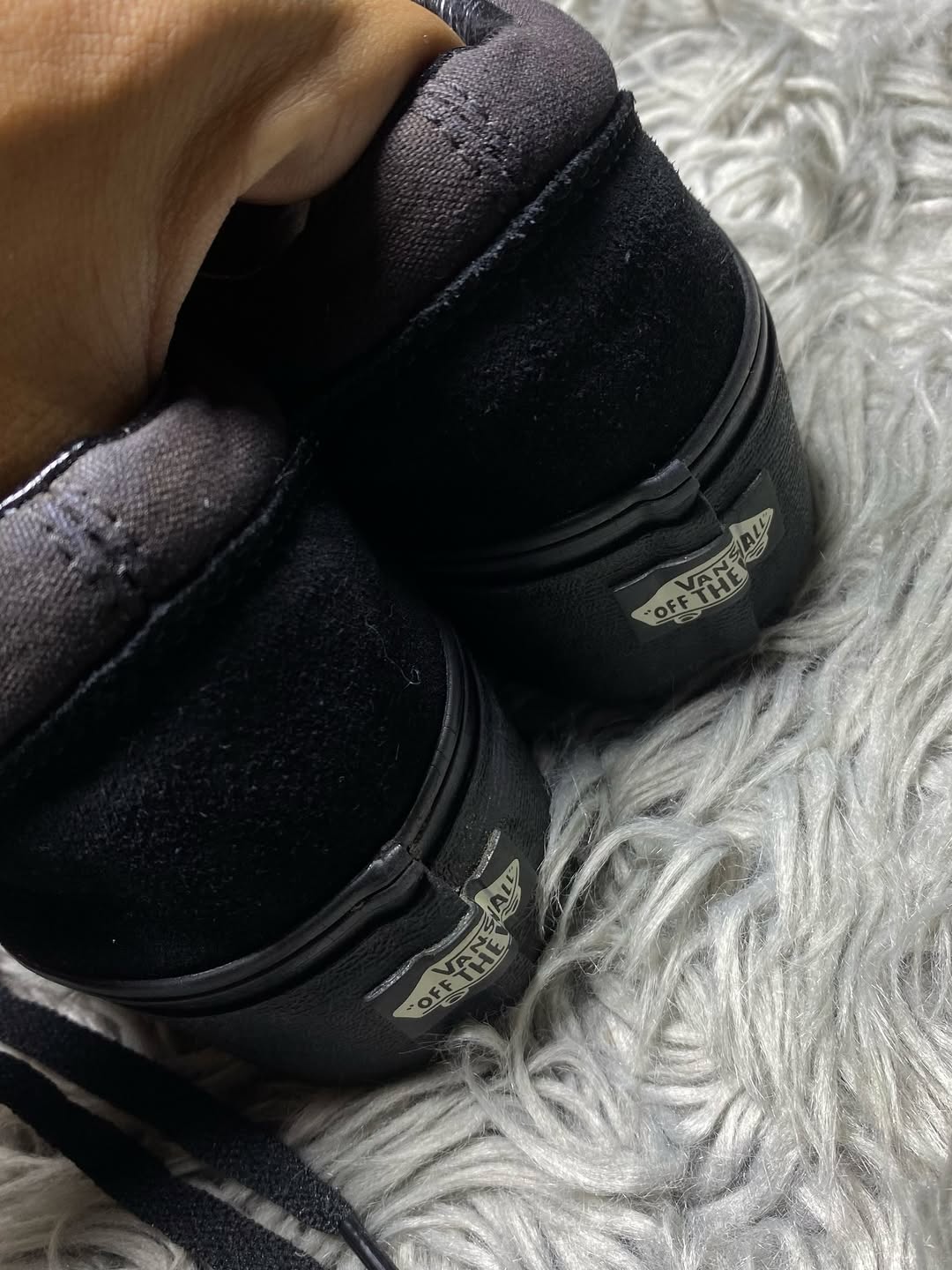 Vans Low Top (40.5)
