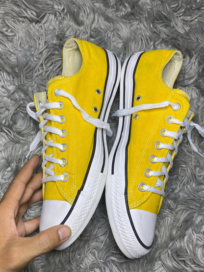 Converse Low Top (44)