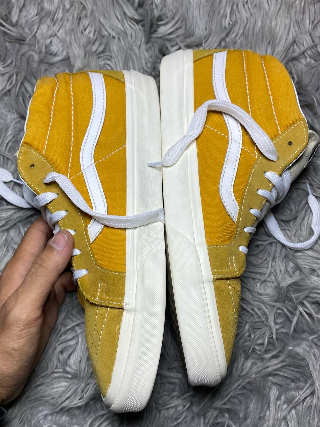Vans Low Top (43)