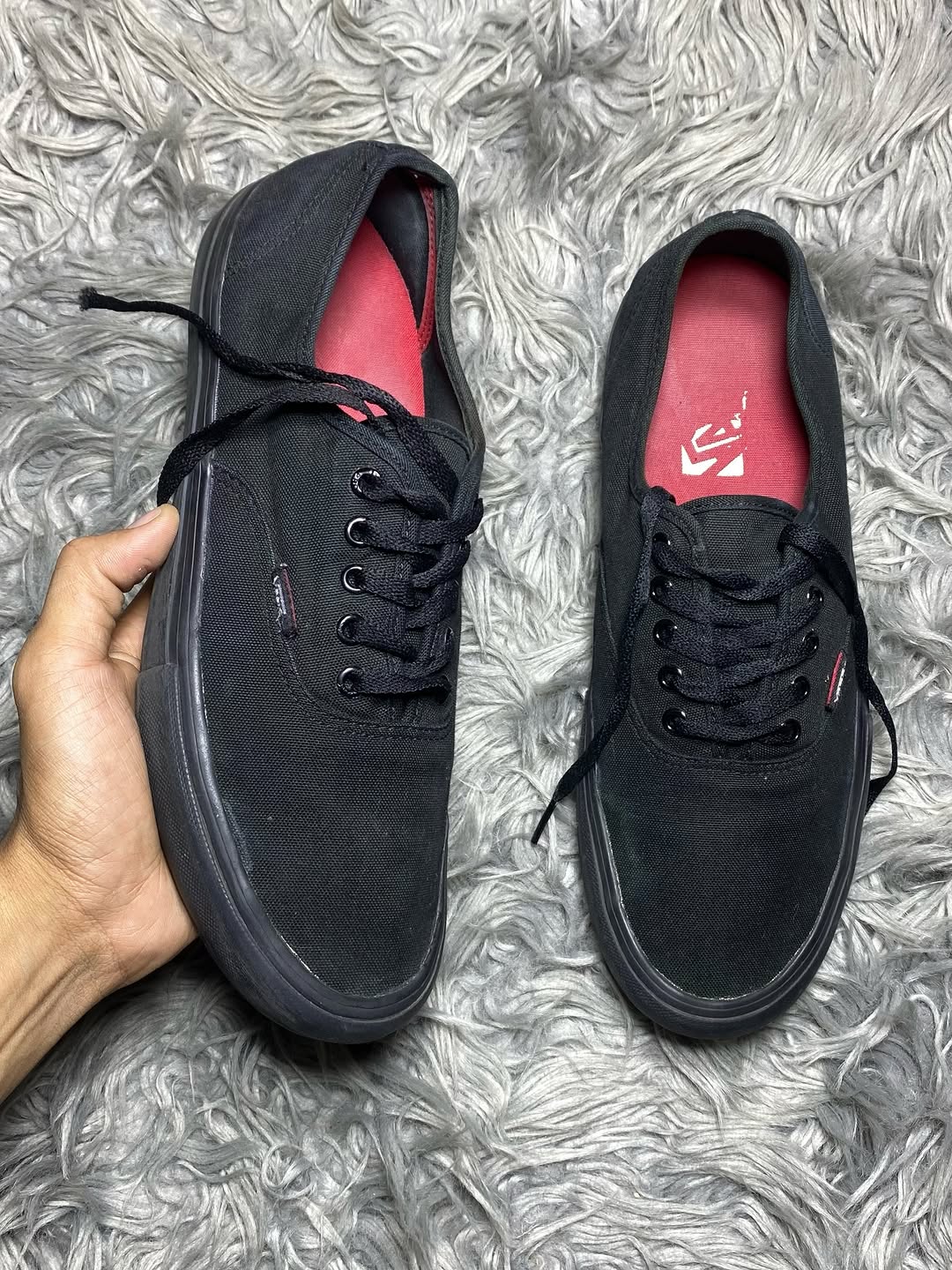 Vans Low Top (44.5)
