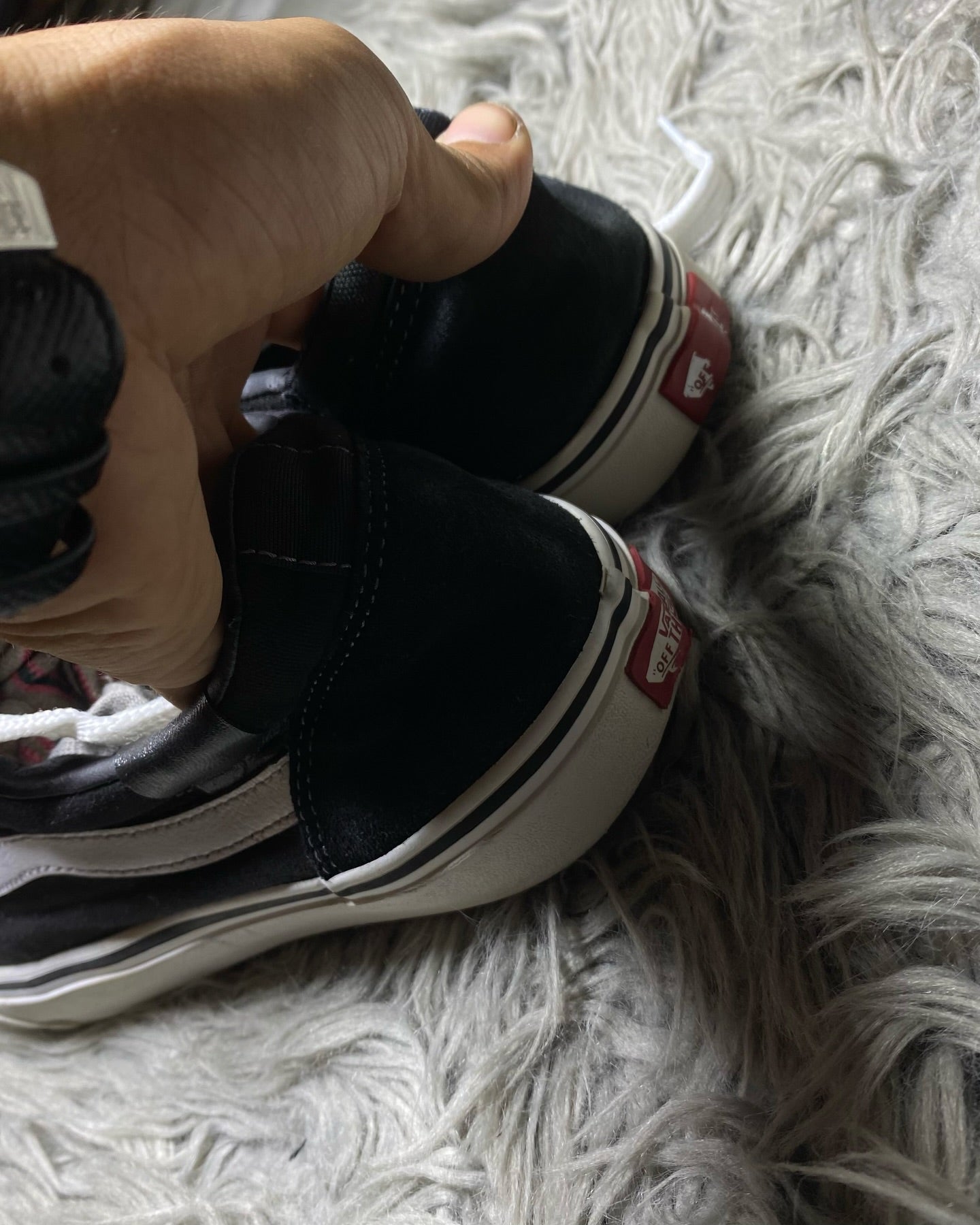 Vans Low Top (44.5)