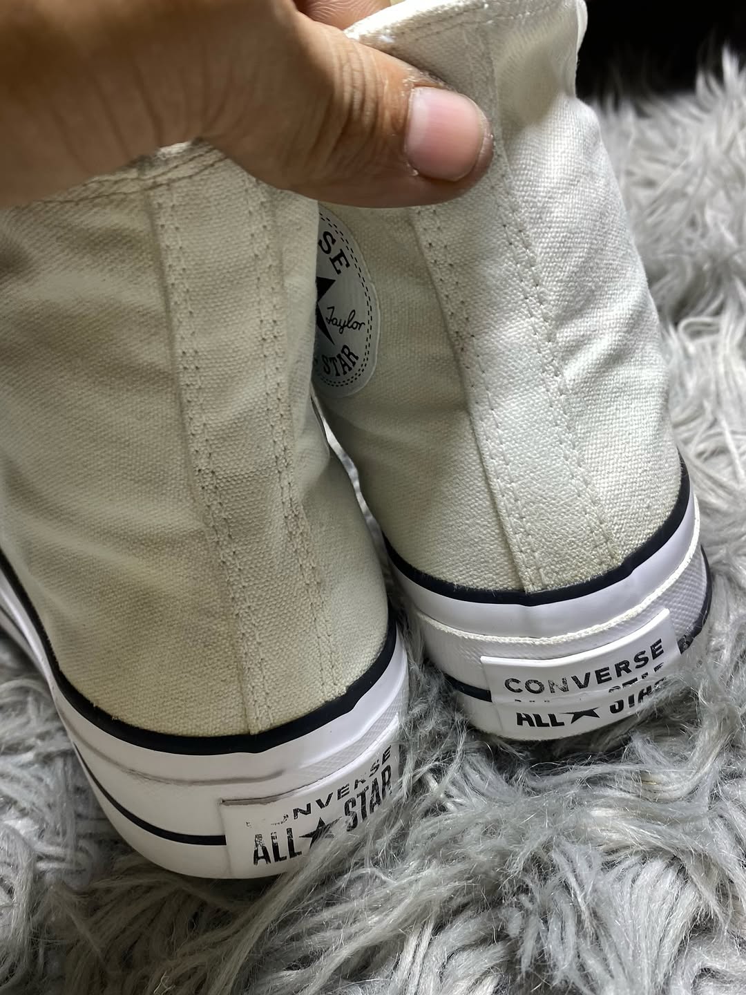 Converse High Top (37.5)