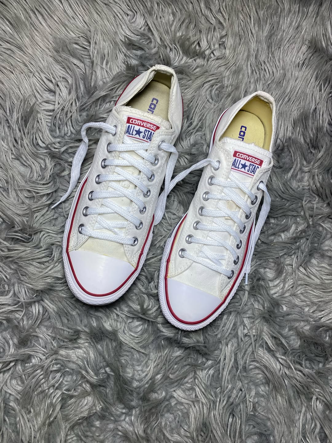 Converse Low Top (42.5)