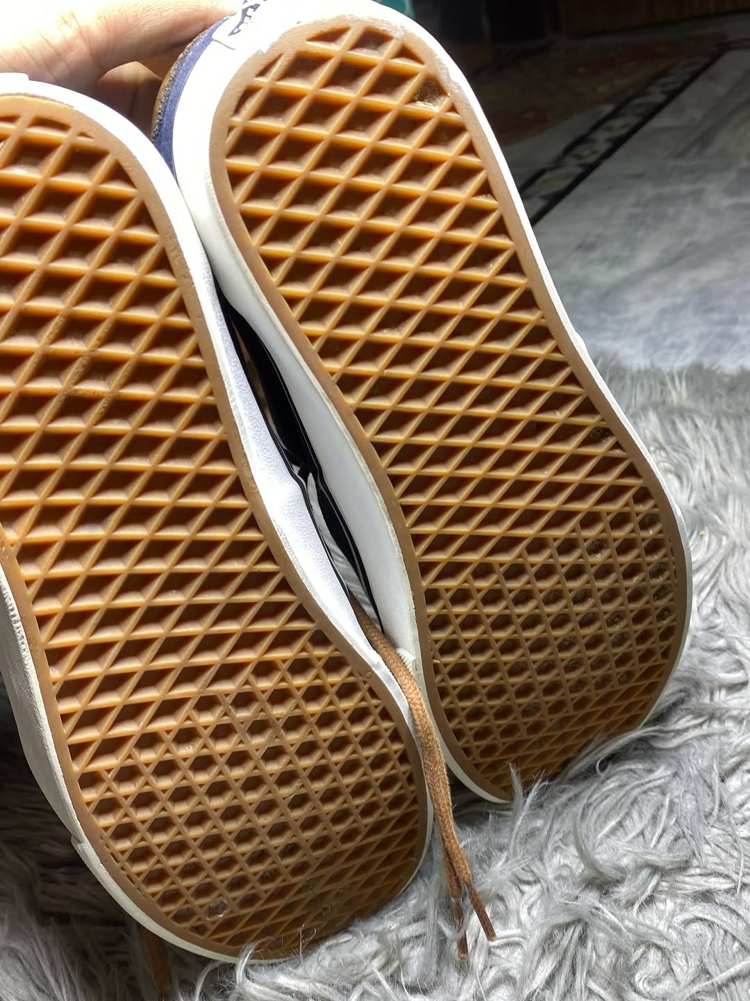 Vans Low Top (44.5)