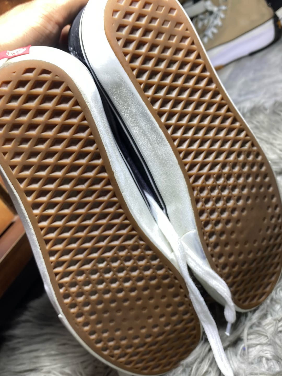 Vans Low Top (45)