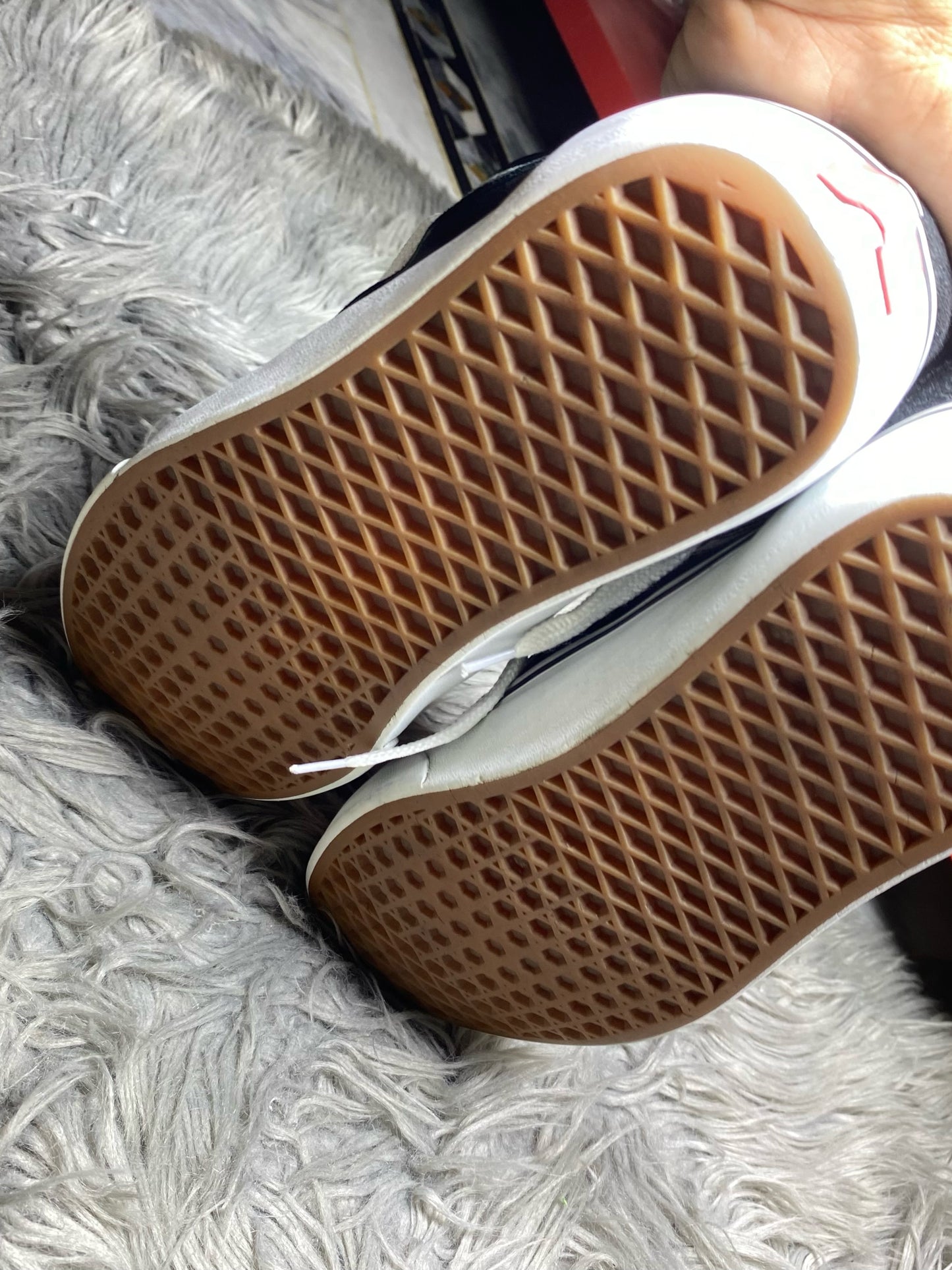 Vans Low Top (43)