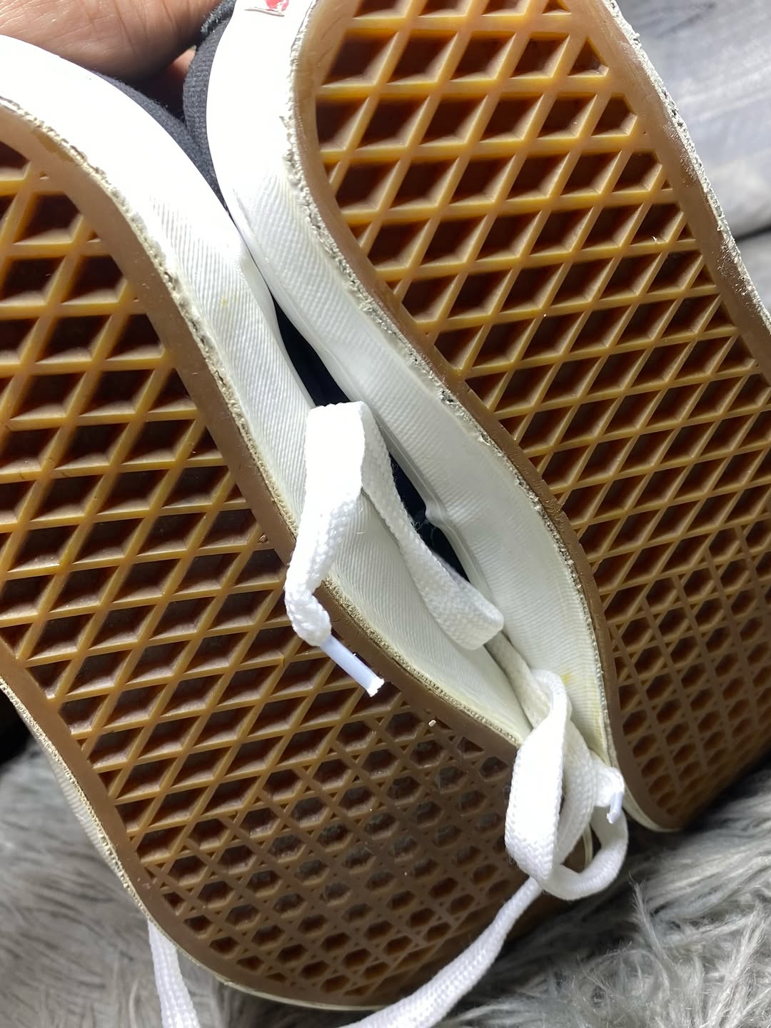 Vans Low Top (42)